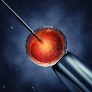 Pregnancy_IVF ICIS Support consultations