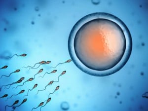 omega 3 for sperm health