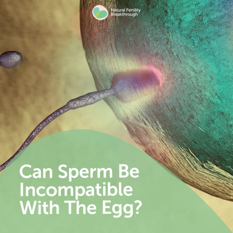 Male Fertility Archives | Natural Fertility Breakthrough